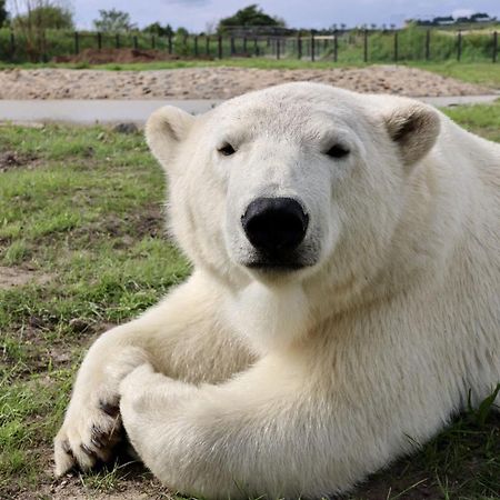 Chic 2 Bed Peak District Cottage Barn Near Alton Towers, Polar Bears, Chatsworth House Leek Exterior foto